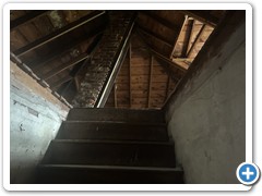 IMG_7346