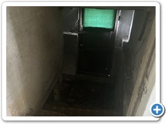 IMG_7350
