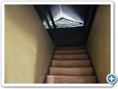IMG_6982